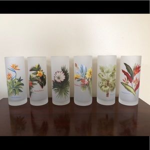 Tommy Bahama Tropical Floral Glass Tumblers